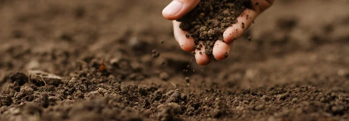 Hand lässt Erde durch die Finger rieseln